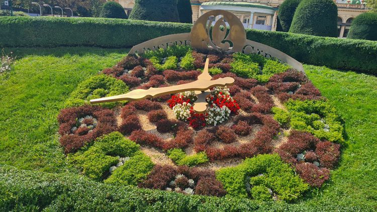 Big floral clock