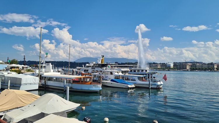 A collection of sailboats and ships gathered in the harbour at Port Noir, Genève, under a clear sky