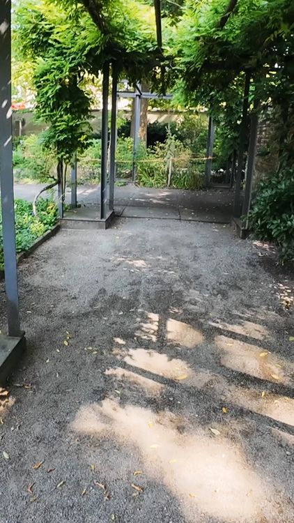 Gate surrounded by trees and plants, leading into a lush garden area at Universitat Bern Botanical Garden