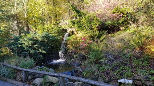 Visit the Heights of Abraham's observation tower for stunning 360-degree views of the Peak District. Enjoy panoramic vistas, explore nearby attractions, and experience the beauty of this historic hilltop location.