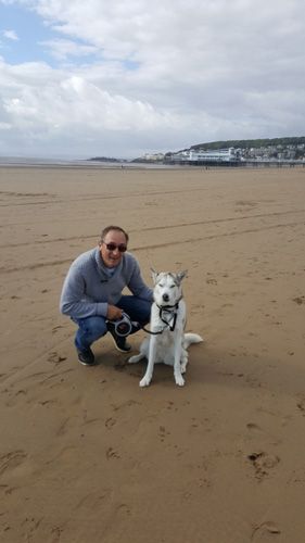 Weston Beach - doggy time