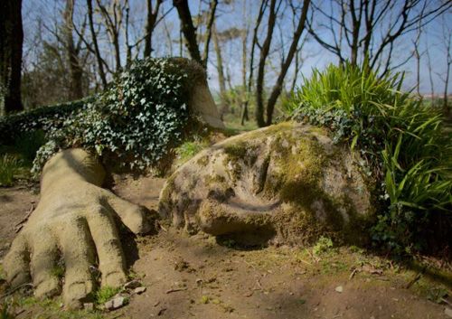 Explore the captivating view of the head sculpture laying down at The Lost Gardens of Heligan. This striking artwork blends seamlessly with the garden's lush surroundings, offering a unique and contemplative addition to the enchanting botanical landscape