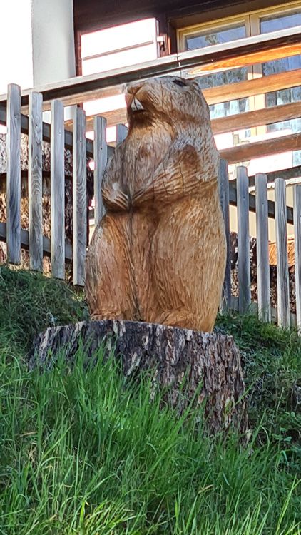 Murren Town Wood Carvings