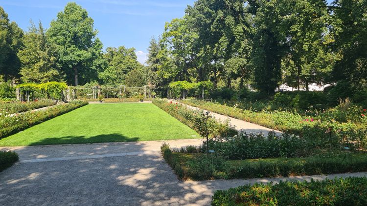 Pathway lined with vibrant blooms in the peaceful Rosengarten Bern