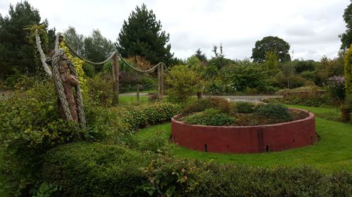 Norwood Gardens and Tea Rooms roaming garden