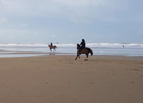 Discover Perranporth Beach in Cornwall, known for its expansive golden sands, clear waters, and vibrant surf scene. Ideal for beach activities, relaxation, and scenic coastal views.