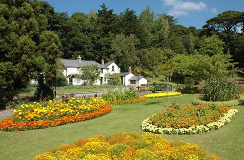 Explore Trenace Gardens in Cornwall, a beautiful and serene garden featuring a diverse range of plants and stunning landscape design. Enjoy peaceful strolls and picturesque scenery in this tranquil setting.