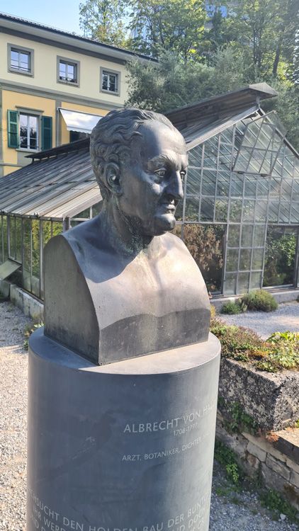 Bronze sculpture surrounded by lush greenery at Universität Bern Botanical Garden