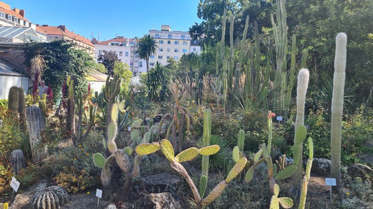 Der Botanische Garten der Universität