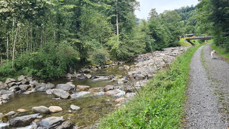 Lombach River - great walks