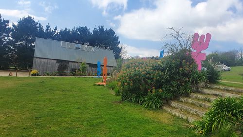 Explore the steps to the high garden at Tremenheere Sculpture Gardens in Cornwall. Enjoy a scenic ascent with stunning views and contemporary sculptures leading to the elevated garden area.