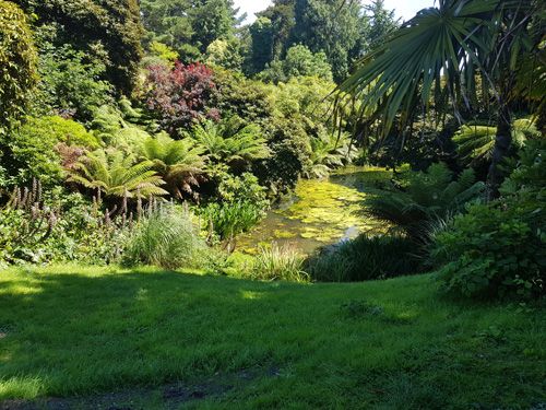 Discover the serene view of the lake at The Lost Gardens of Heligan. Enjoy the tranquil waters reflecting the lush greenery of this historic garden, creating a peaceful and picturesque setting