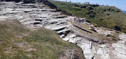 Embark on the Tintagel Rocky Cliff Walk for breathtaking views of dramatic coastal cliffs and the Atlantic Ocean. Experience rugged terrain, stunning vistas, and the natural beauty of Tintagel’s rugged coastline.