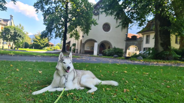 Hohematte Park - Selfie Time