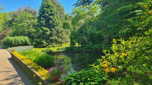 The image features a serene pond set amidst lush trees and vibrant plants. Surrounding the water are various elements of nature, including flowers and grass, creating a picturesque scene typical of a botanical garden. This tranquil landscape is part of the Giardini Botanici Di Villa Taranto Gardens, highlighting the beauty and diversity of outdoor flora.