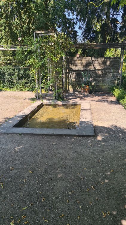Small garden enclosed by a fence, featuring various plants and landscaping elements in Universitat Bern Botanical Garden