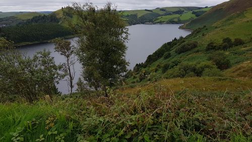 Clywedog Reservoir