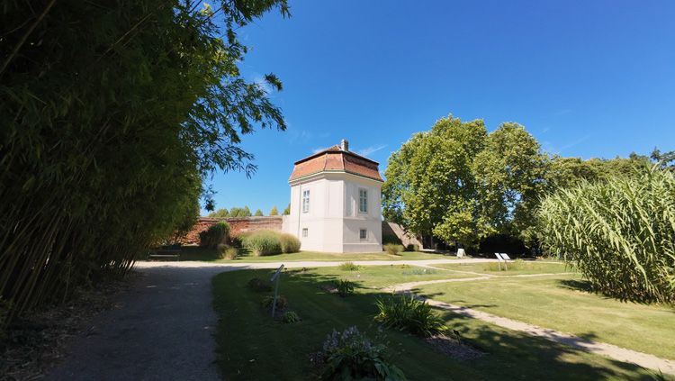 Der Botanische Garten der Universität