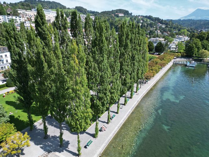 Inseli Park Arial View