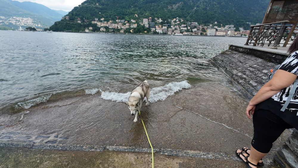 Lake Como - Lungo Lario Doggy Paddle