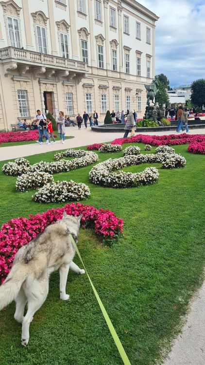 Baroque Palace Garden - Dog Friendly