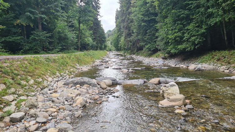 Lombach River - great walks