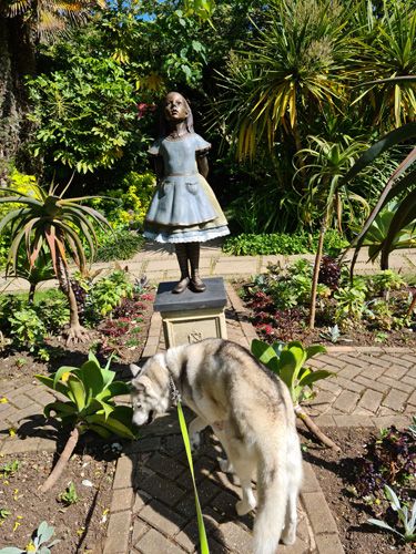 Abbotsbury Subtropical Gardens - doggy time