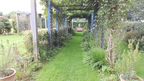 Norwood Gardens and Tea Rooms arch