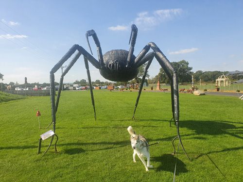 A strikingly detailed metal sculpture of a large spider at the British Ironwork Centre, showcasing its intricate legs and body against the backdrop of the outdoor display area.