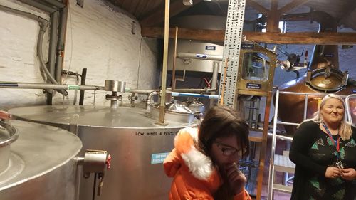 Discover the rich cider-making history at Healeys Cornish Cyder Farm. Explore the traditional methods, learn about the evolution of cider production, and experience the legacy of Cornish craftsmanship.