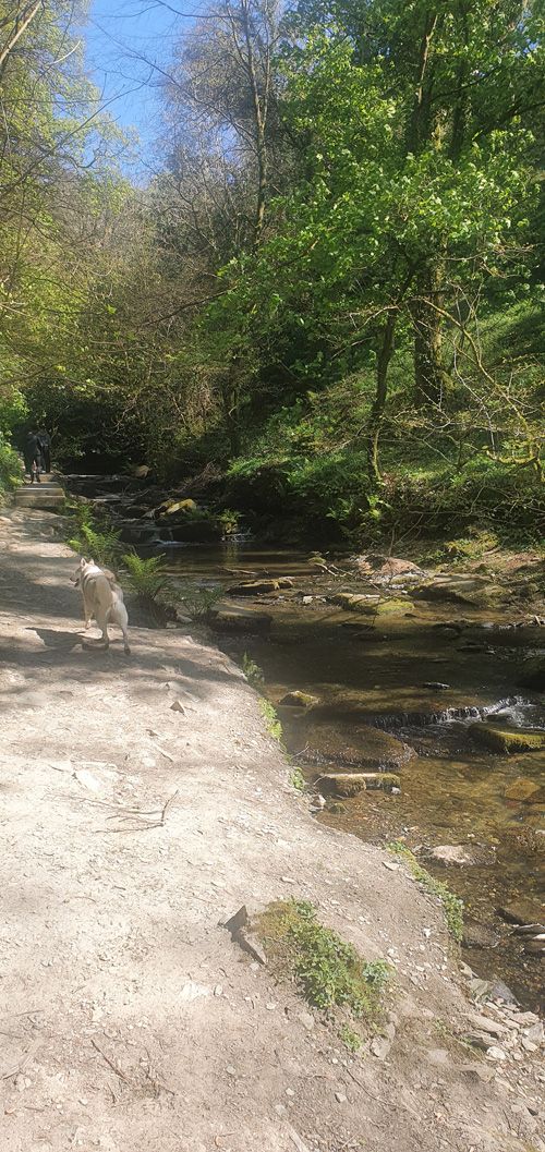 Enjoy the tranquil views along the walk by the stream, featuring scenic watercourses and lush landscapes. This picturesque trail offers a serene experience with beautiful natural surroundings and charming streamside views