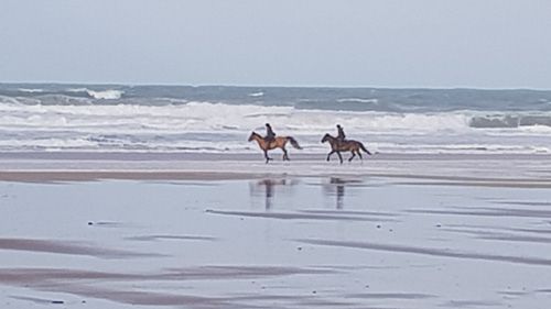 Discover Perranporth Beach in Cornwall, known for its expansive golden sands, clear waters, and vibrant surf scene. Ideal for beach activities, relaxation, and scenic coastal views.