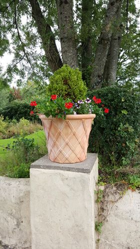 Norwood Gardens and Tea Rooms going potty
