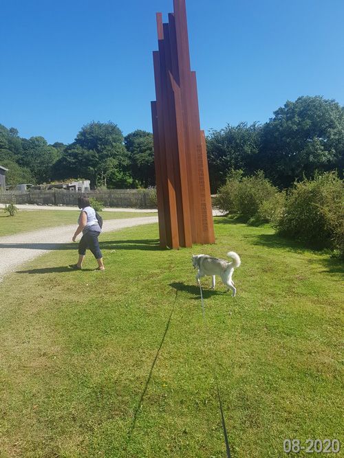 Explore Tremenheere Sculpture Gardens in Cornwall with your dog. Enjoy contemporary sculptures, lush gardens, and a pet-friendly environment perfect for a day out with your furry friend.