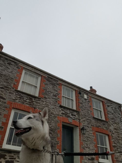 Capture a memorable selfie outside the iconic Doc's house in Port Isaac, the filming location of 'Doc Martin.' Experience the charm of this picturesque village and its famous TV series landmarks.