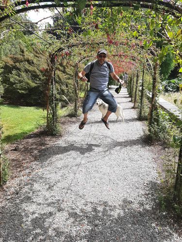 Plas Newydd House and Gardens - Jump