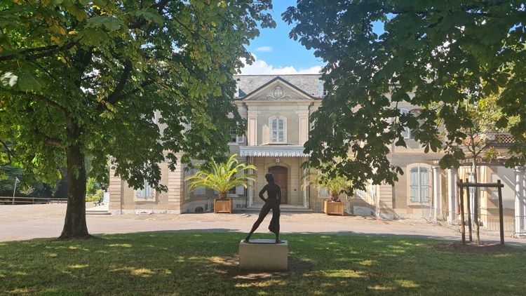 A person walks in a yard filled with lush grass and trees, with a building in the background under a clear sky