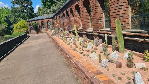 The image features a brick wall adorned with a row of cactus plants. The setting appears to be outdoors, possibly in the Giardini Botanici Di Villa Taranto Cactus Garden. Surrounding elements include trees and a clear sky, creating a natural ambiance alongside the architectural structure of the brick wall.