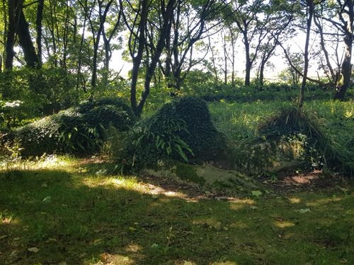 Discover 'Heligan in the Grass' at The Lost Gardens of Heligan. This intriguing feature blends seamlessly with the garden’s natural surroundings, offering a unique and immersive experience amidst the lush greenery