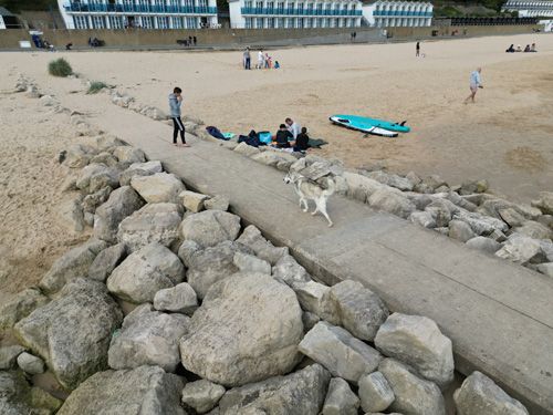 Sandbanks - A dogs life from the air