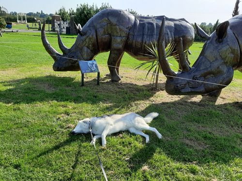 A charming metal sculpture of a house at the British Ironwork Centre, featuring whimsical figures of rhinos lounging with a relaxed dog, displayed in the outdoor exhibition area.