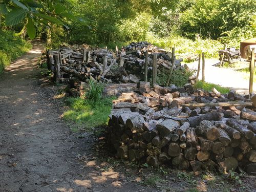 Discover the view of stacked logs at The Lost Gardens of Heligan. Observe the rustic arrangement of logs nestled within the garden's lush landscape, adding a natural and textured element to the serene and enchanting environment