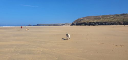 Discover Perranporth Beach in Cornwall, known for its expansive golden sands, clear waters, and vibrant surf scene. Ideal for beach activities, relaxation, and scenic coastal views.