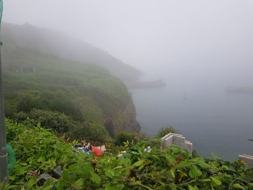 Experience the enchanting view over Port Isaac harbor shrouded in mist. Admire the ethereal beauty of the historic village and its serene coastal scenery enveloped in a mystical atmosphere.