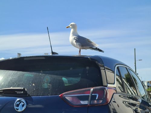 Discover Perranporth Beach in Cornwall, known for its expansive golden sands, clear waters, and vibrant surf scene. Ideal for beach activities, relaxation, and scenic coastal views.