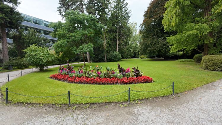 Innsbruck Court Garden - in Bloom