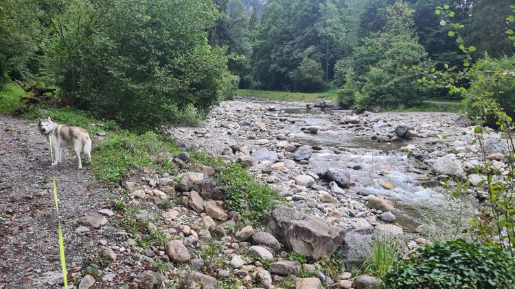 Lombach River just up from the Lazy Racho