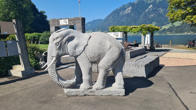 lucerne Elephant