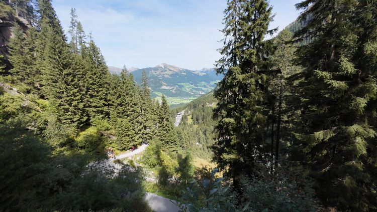 Krimmel Forever views